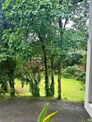 Thomson Road (D11), Detached #498337251